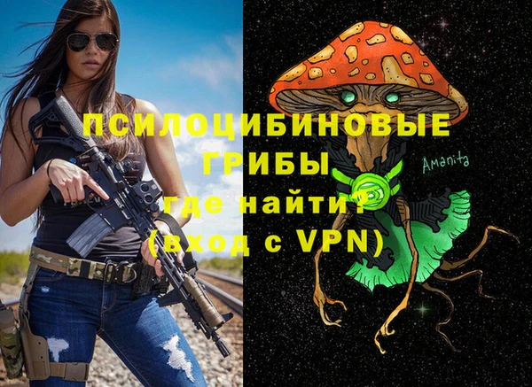 синтетический гашиш Алексеевка