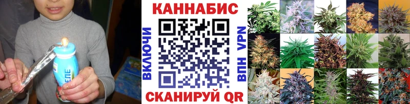 Бошки Шишки сатива  купить наркотик  мега сайт  Ступино 